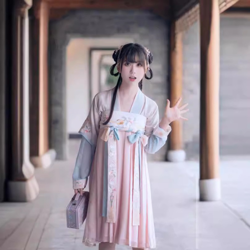 Ethnic Style Fashion Clothes H - Ethnic Dress Fashion Show recension och pris